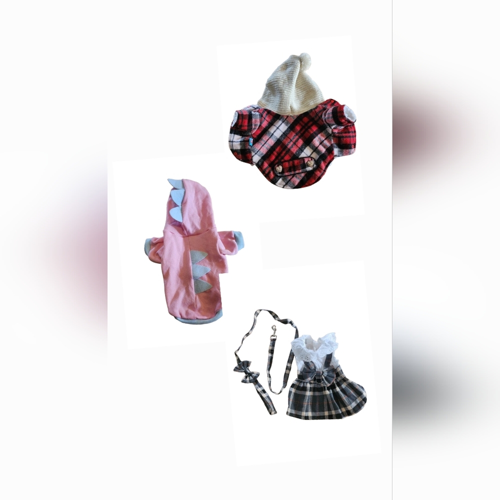 Size Small Dog Coat, Hoodie, Dress With Leash